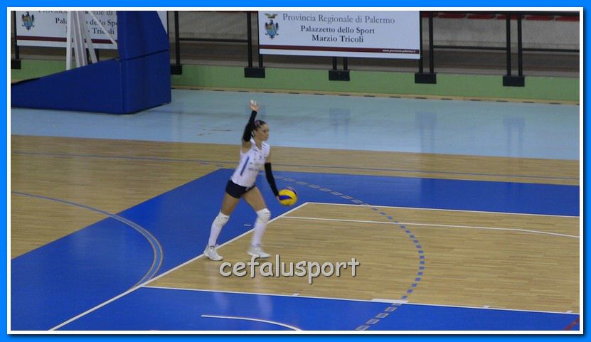 IMG_2595_tn.jpg