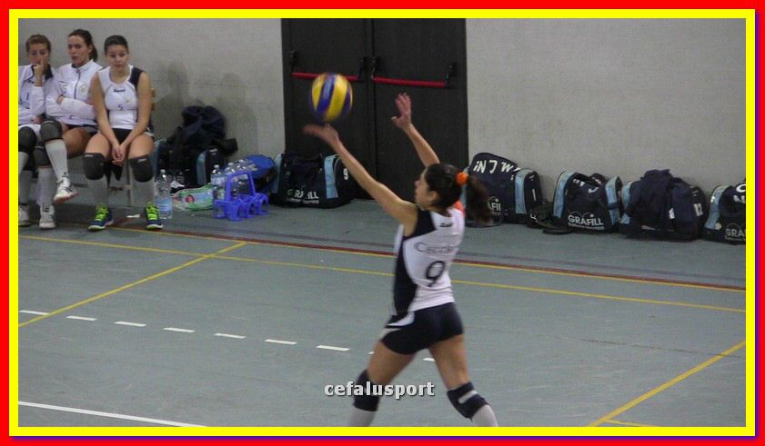 IMG_1331_tn.jpg