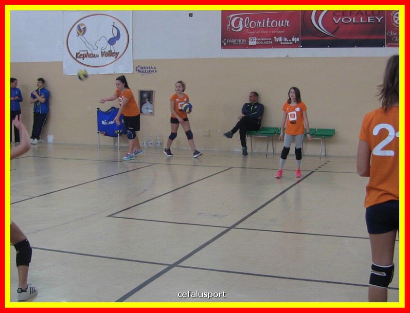 IMG_5022_tn.jpg