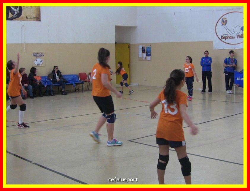 IMG_5027_tn.jpg
