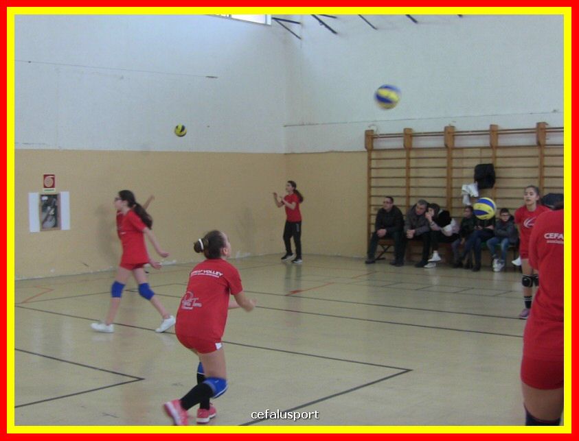 IMG_5029_tn.jpg