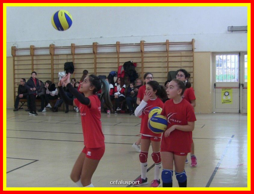 IMG_5031_tn.jpg
