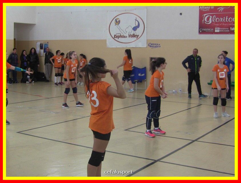 IMG_5055_tn.jpg