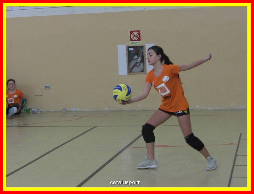 IMG_5075_tn.jpg