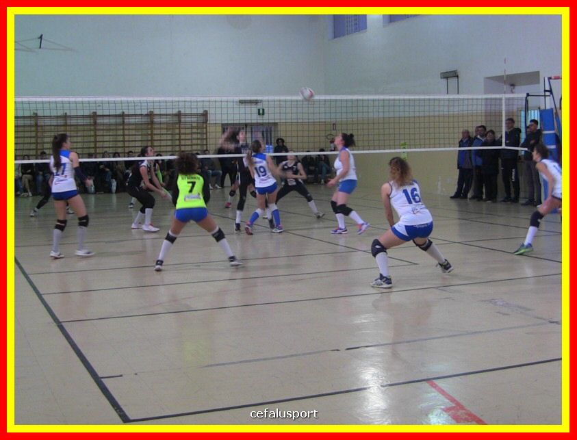 IMG_5119_tn.jpg