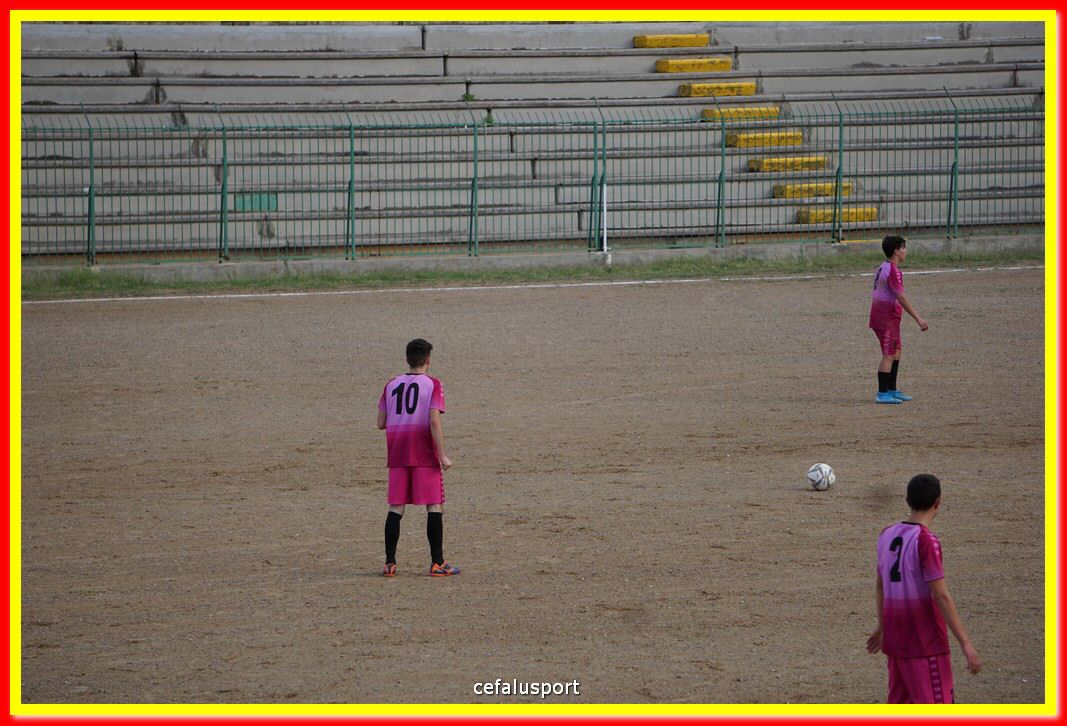 DSC07368.jpg