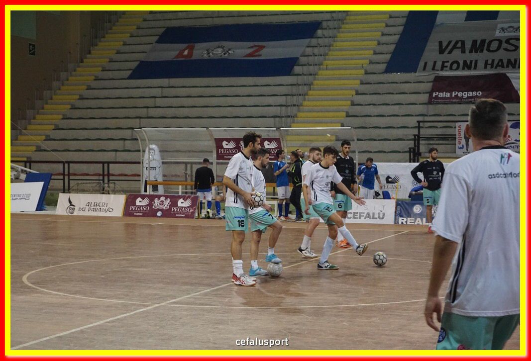 DSC01667.jpg