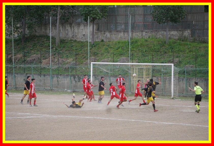 DSC09959_tn.jpg