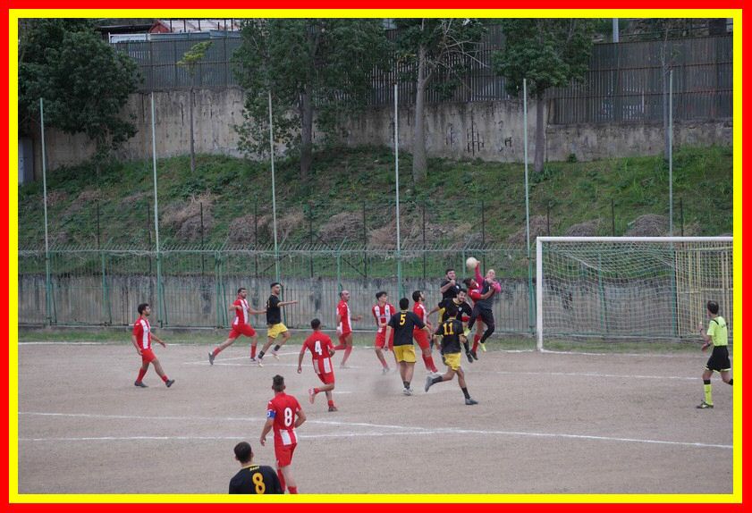 DSC09975_tn.jpg
