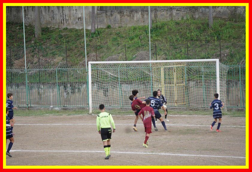 DSC09521_tn.jpg