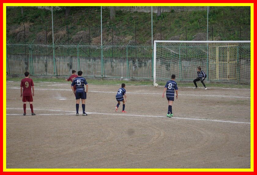 DSC09526_tn.jpg