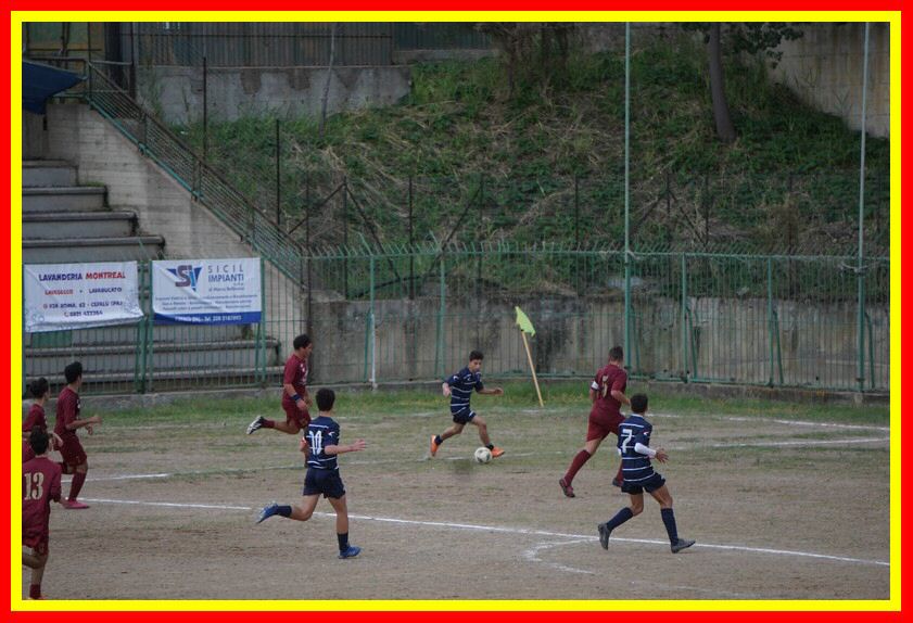 DSC09554_tn.jpg