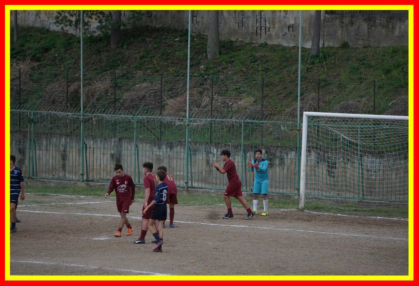 DSC09556_tn.jpg