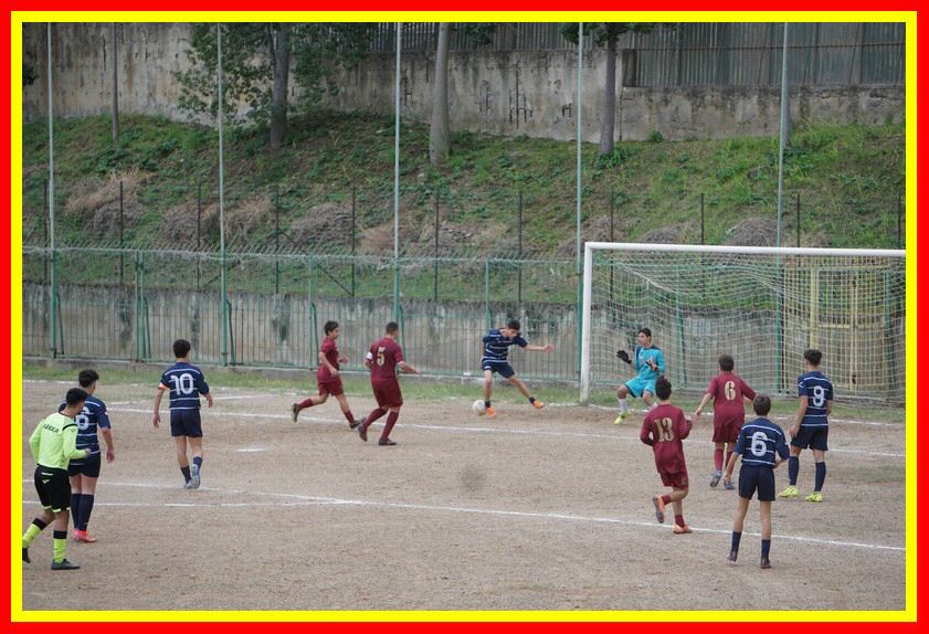 DSC09562_tn.jpg