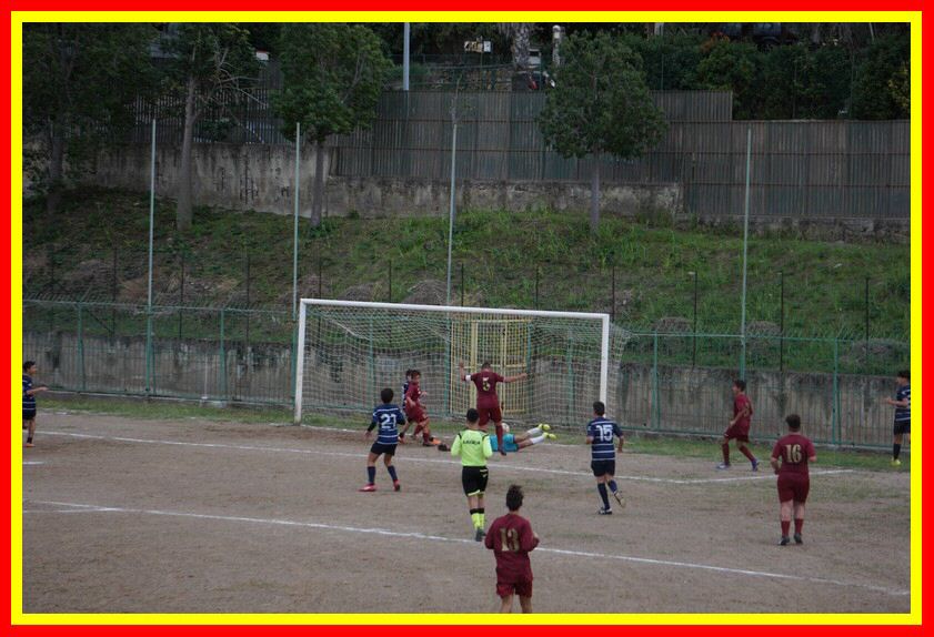 DSC09569_tn.jpg