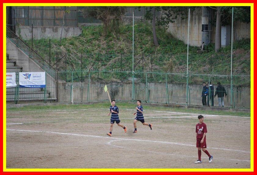 DSC09571_tn.jpg
