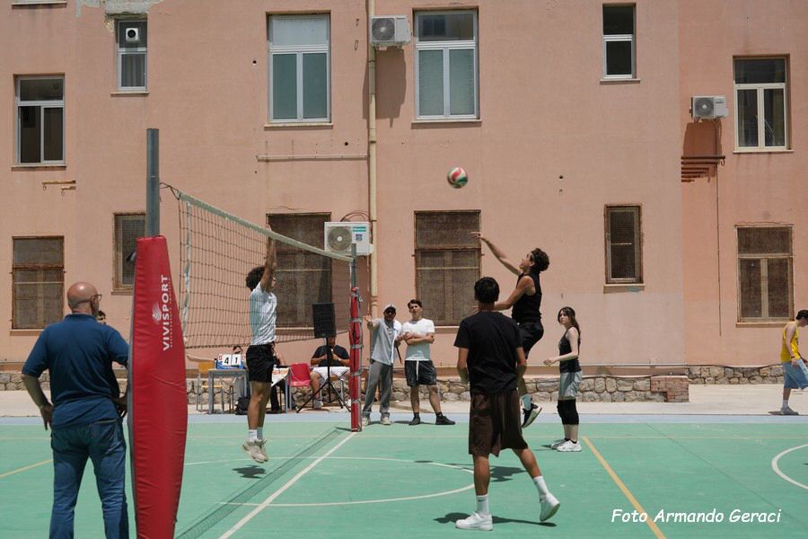 DSC05798_tn.jpg