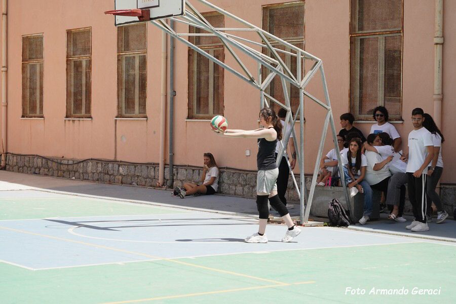 DSC05799_tn.jpg