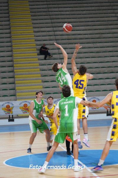 DSC08966_tn.jpg