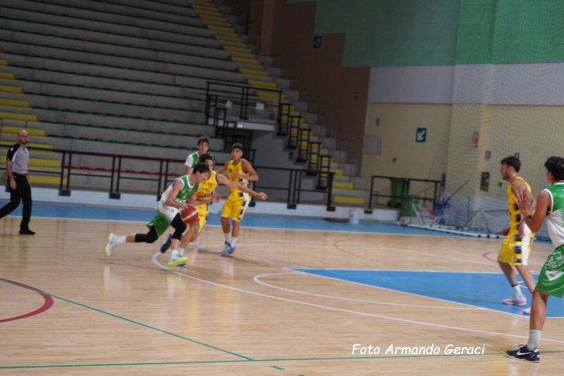 DSC08973_tn.jpg