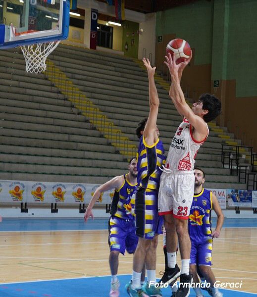 DSC02595y_tn.jpg