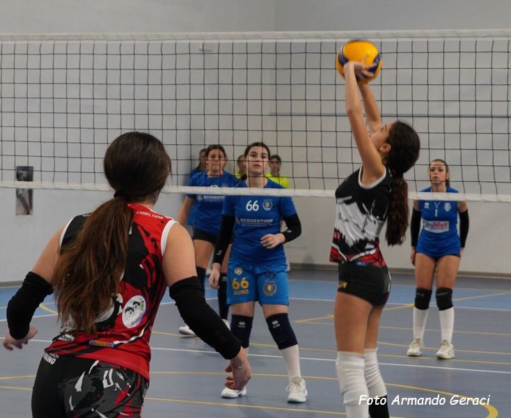 DSC02058y_tn.jpg