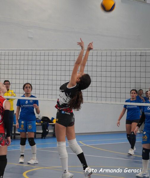 DSC02064y_tn.jpg