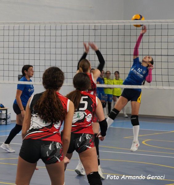 DSC02072y_tn.jpg