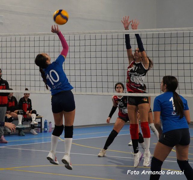 DSC02125y_tn.jpg