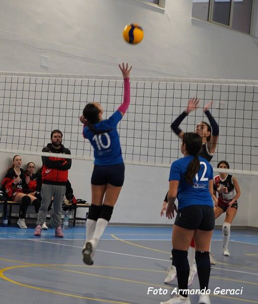 DSC02146y_tn.jpg