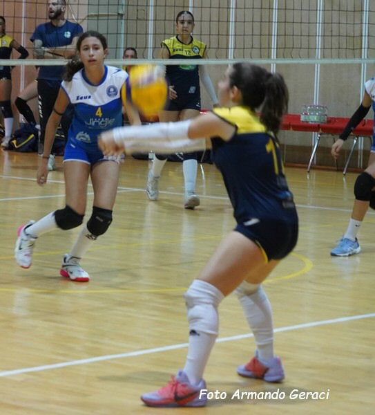 DSC00534y_tn.jpg