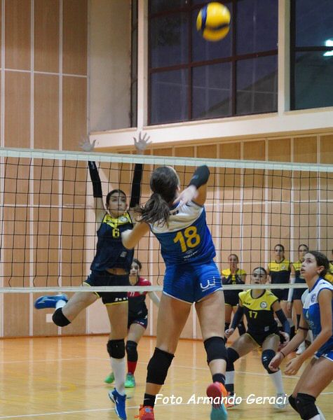 DSC00571y_tn.jpg