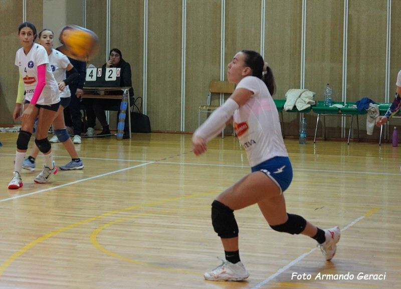DSC01943Y_tn.jpg