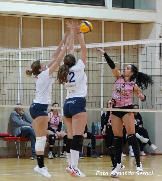 DSC02890y_tn.jpg
