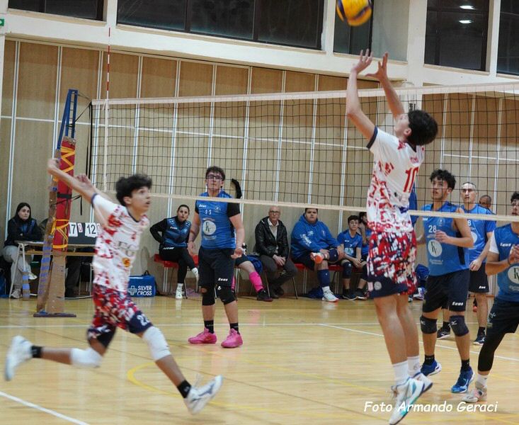 DSC03743y_tn.jpg
