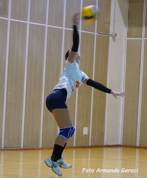 DSC05554y_tn.jpg
