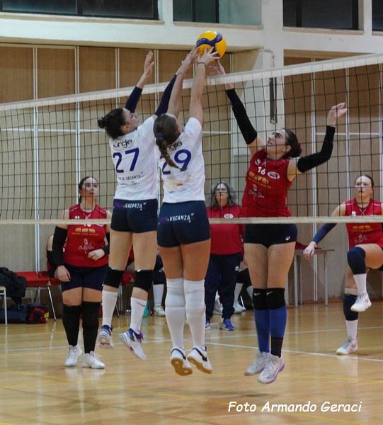 DSC05645y_tn.jpg