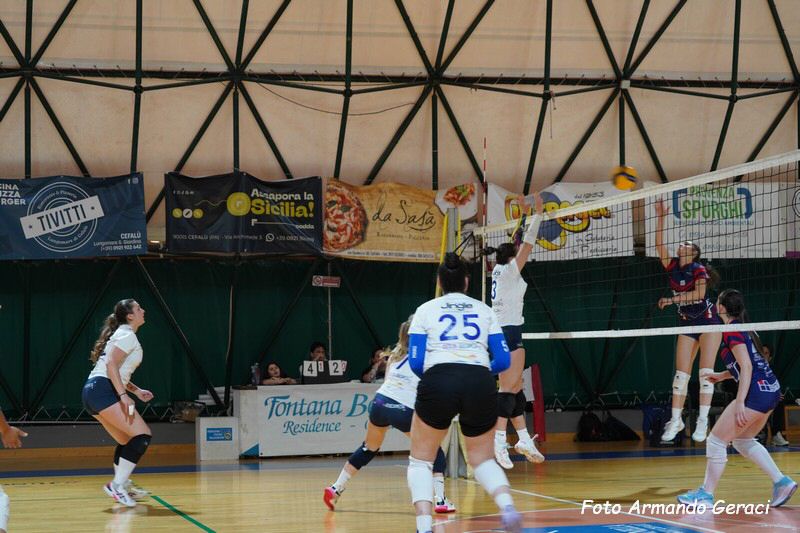 DSC03575_tn.jpg