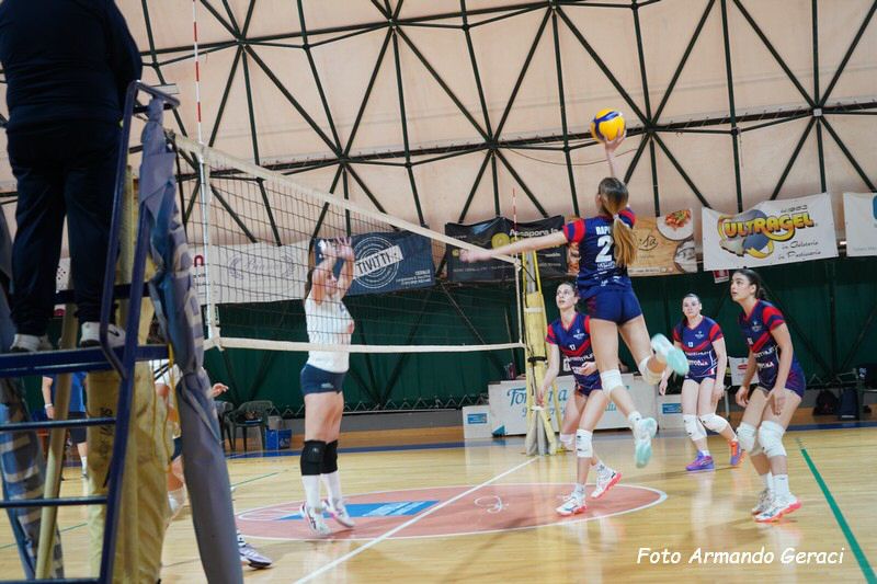 DSC03611_tn.jpg