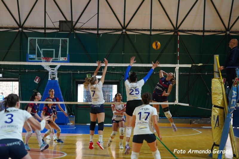 DSC03658_tn.jpg