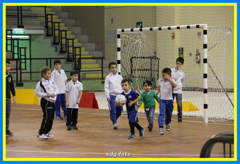 IMG_5962_tn.jpg