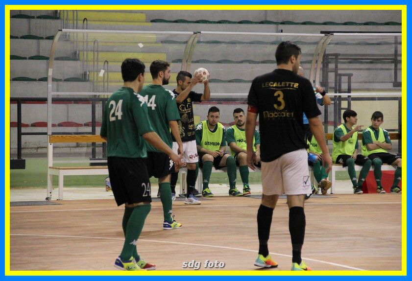 IMG_5963_tn.jpg