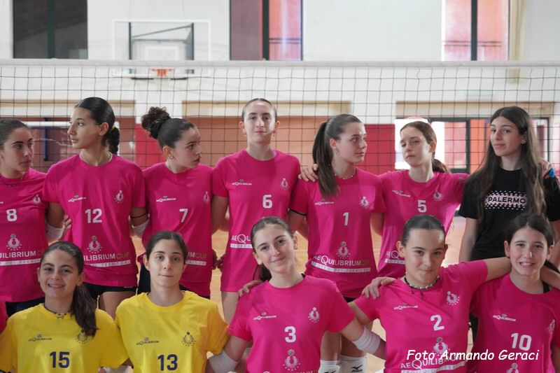 DSC02274_tn.jpg