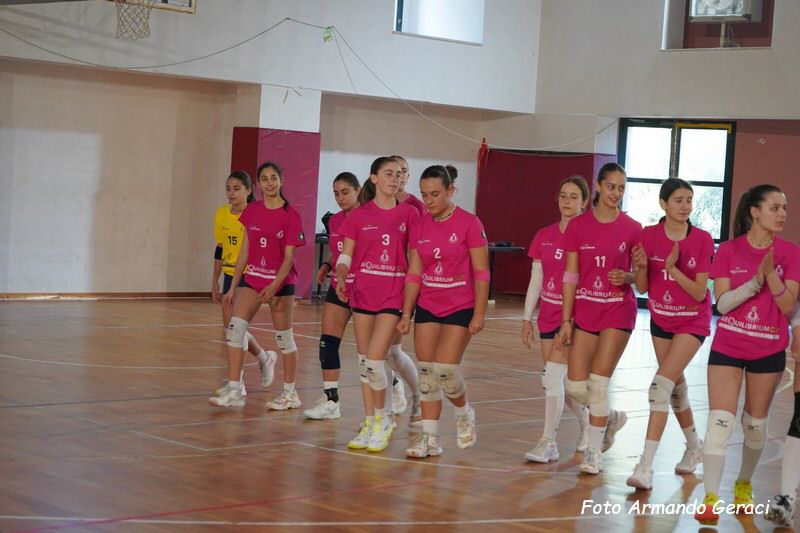 DSC02307_tn.jpg