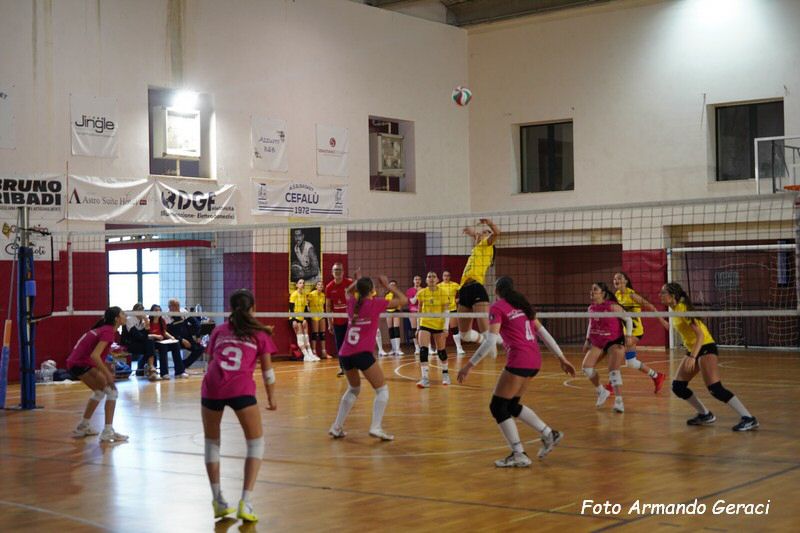 DSC02343_tn.jpg
