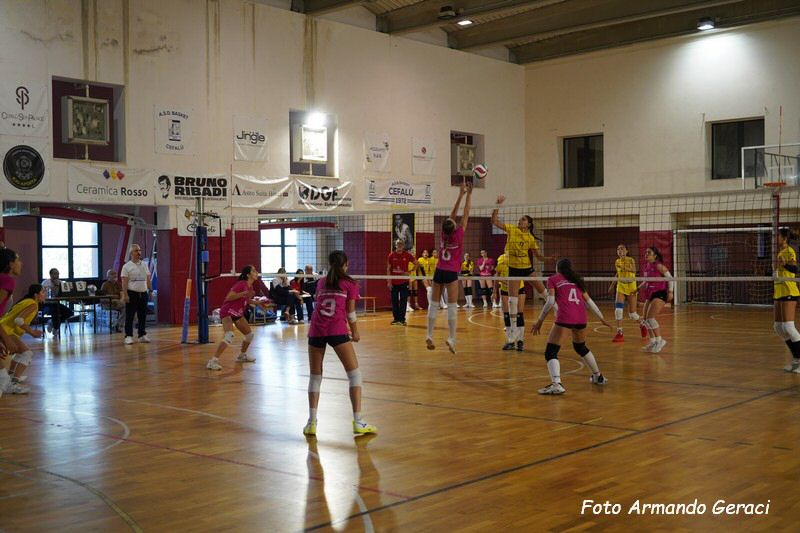 DSC02345_tn.jpg