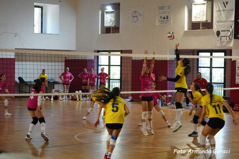 DSC02360_tn.jpg