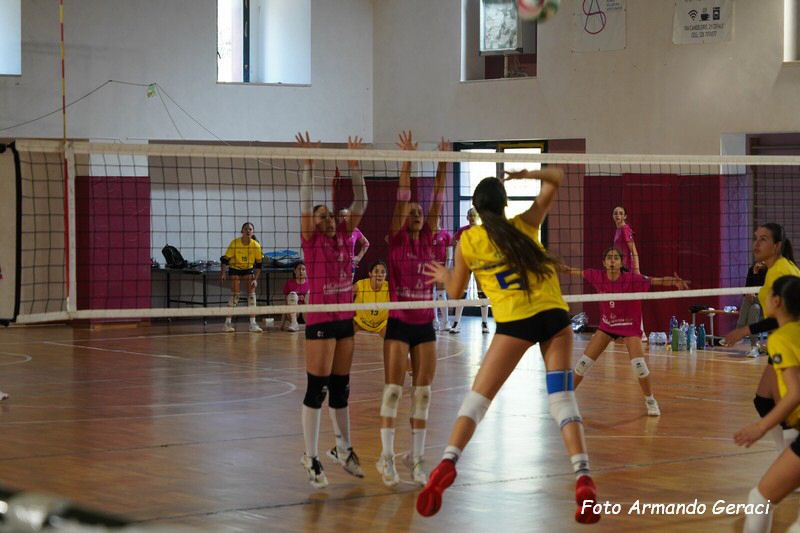 DSC02361_tn.jpg