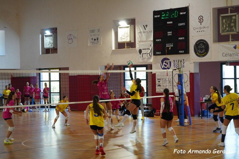 DSC02365_tn.jpg