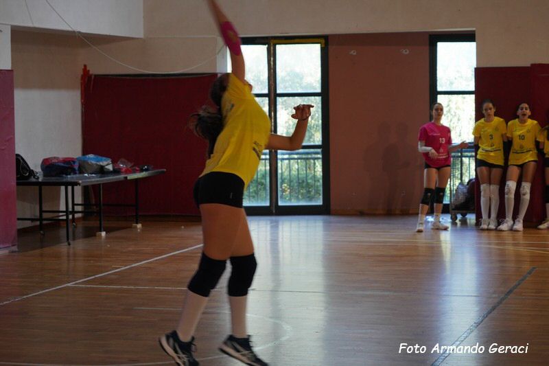 DSC02379_tn.jpg